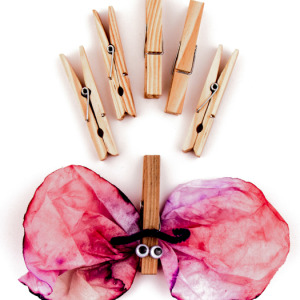 Clothes Pins