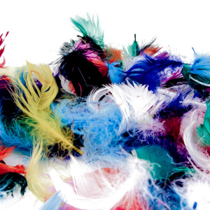 Feathers