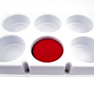 Empty Paint Tray
