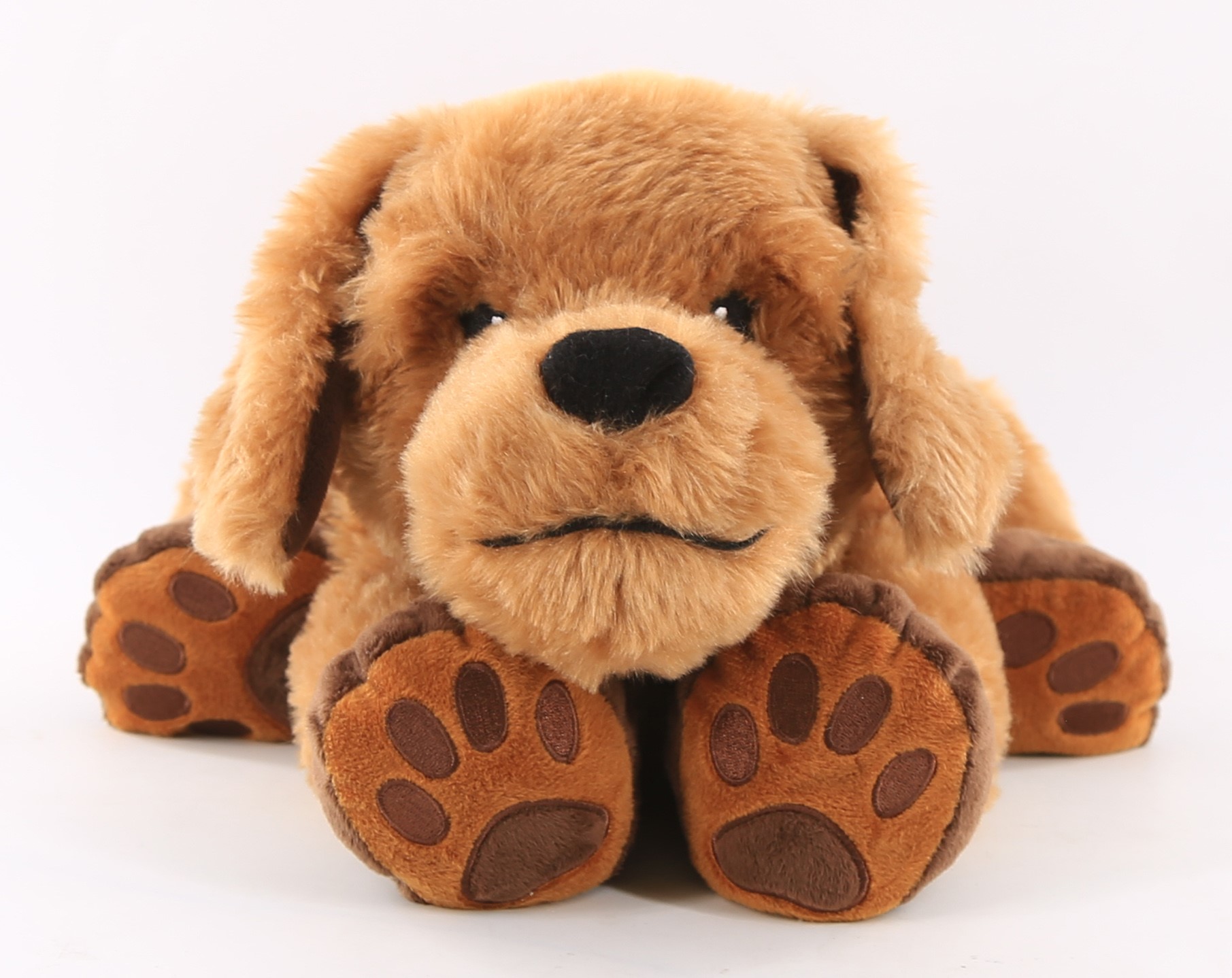 Theo-The-Theraphy-Dog-front-view